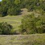Taylor Mountain Regional Park