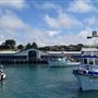 The Tides Wharf & Restaurant
