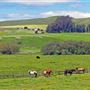 Valley Ford