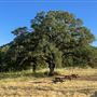 Sutter Buttes State Park (SP)