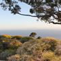 Catalina View Gardens aka Point View