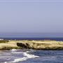 Mark Abbott Memorial Lighthouse aka Santa Cruz Surfing Museum