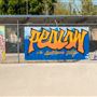 Pedlow Field Skate Park