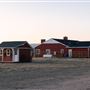 CG Cattle Company