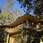 The Treehouse Studio City