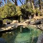 The Treehouse Studio City