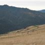 Bear River Ridge Road