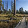 Ward Creek Park Property