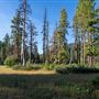 Ward Creek Park Property