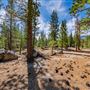 Washoe Meadows State Park (SP)