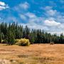 Washoe Meadows State Park (SP)