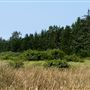 Tolowa Dunes State Park (SP)