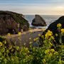 Coast Dairies State Beaches (Bonny Doon State Beach, Shark Fin State Beach, Laguna State Beach & Panther)