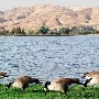 Lake Ming