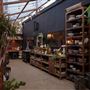 The Haus Plant