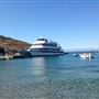 Catalina Express
