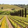 Ferrari Carano Vineyards and Winery