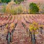 Christopher Creek Winery