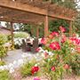 DeLoach Winery
