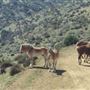 Lane Ranch & Co.