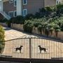 Gated Estate in Malibu Canyon with Sparkling Pool and 360 Degree Views
