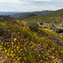 Onyx Ranch State Vehicular Recreation Area (SVRA)