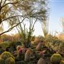 The Living Desert Zoo and Botanical Gardens