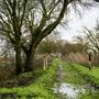 Delta Meadows Park Property