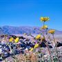 Death Valley National Park