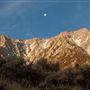 Lone Pine