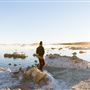 Mono Lake Tufa State Natural Reserve (SNR) / South Tufa Lake - Inyo National Forest (NF)