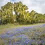 Fort Ord National Monument