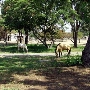 Cal Poly Pomona Campus South / RSI Pomona