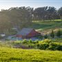Straus Home Ranch
