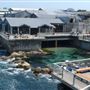 Monterey Bay Aquarium