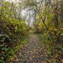 Colusa-Sacramento River State Recreation Area (SRA)