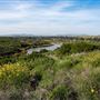 Peters Canyon Regional Park