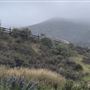 Agua Dulce Horse Ranch