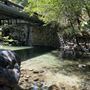 Pfeiffer Big Sur State Park (SP)