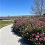 Martial Cottle Park State Recreation Area (SRA) - operated by Santa Clara County Parks