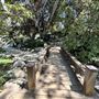 Storrier Stearns Japanese Garden