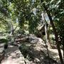 Storrier Stearns Japanese Garden