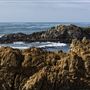 Harmony Headlands State Park (SP)