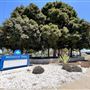 Stevenson Park - City of Carson