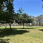 Stevenson Park - City of Carson