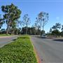 California State University, Long Beach - CSULB