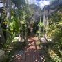 Montecito Ave Victorian Home