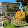 College of the Canyons
