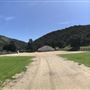 Reliz Canyon Oaks