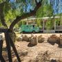 Ranch farmhouse, 4 acres
